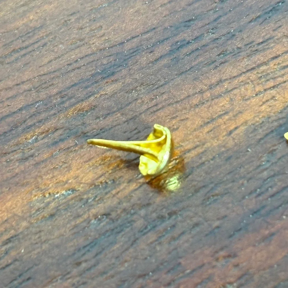 Gold Mini Round Brads Metal Paper Fasteners for‎ Scrapbooking Crafts with Case